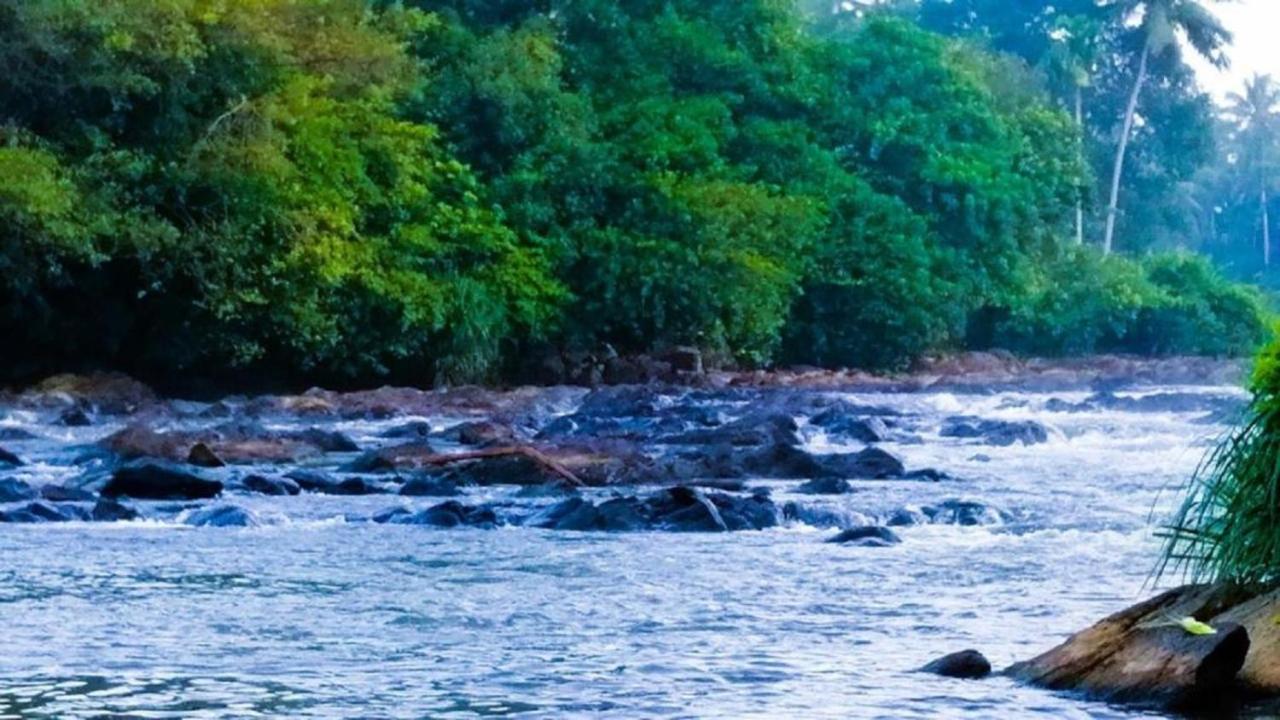 Bedda Eco Cottages デニヤヤ エクステリア 写真