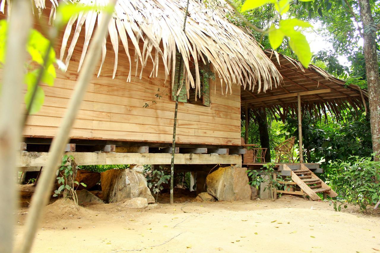 Bedda Eco Cottages デニヤヤ エクステリア 写真