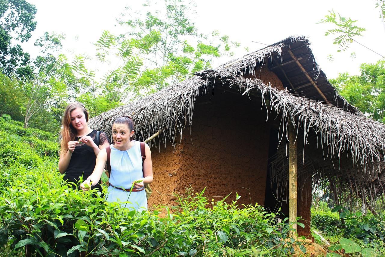 Bedda Eco Cottages デニヤヤ エクステリア 写真