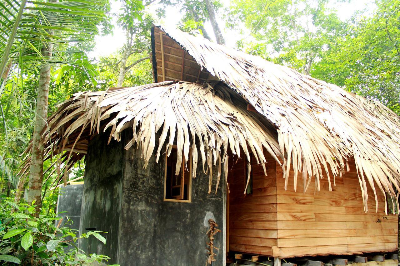Bedda Eco Cottages デニヤヤ エクステリア 写真