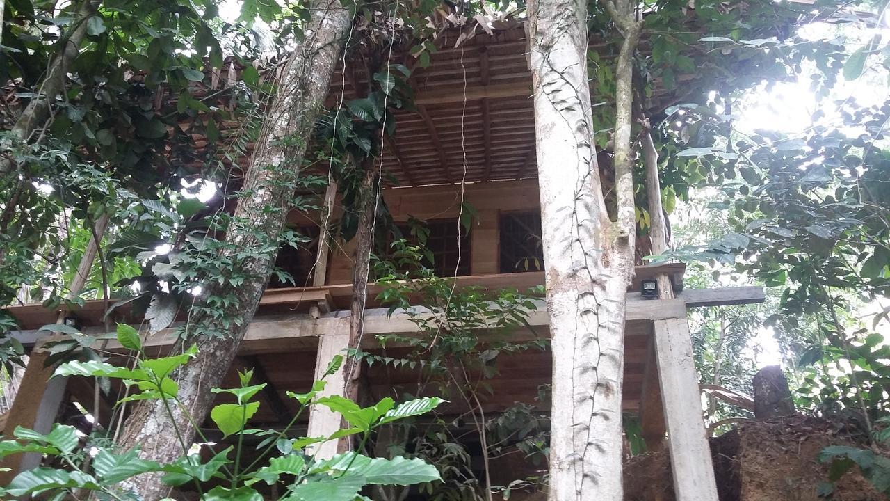 Bedda Eco Cottages デニヤヤ エクステリア 写真