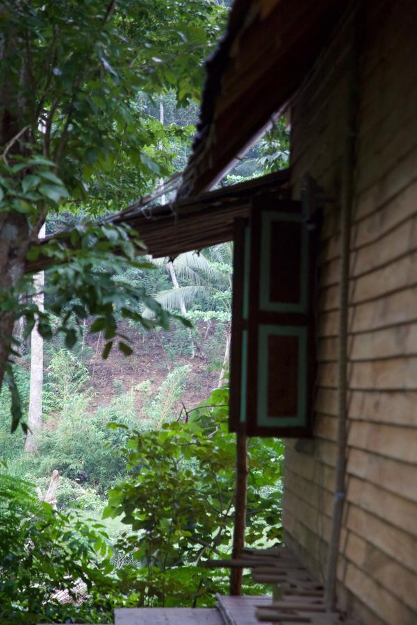 Bedda Eco Cottages デニヤヤ エクステリア 写真