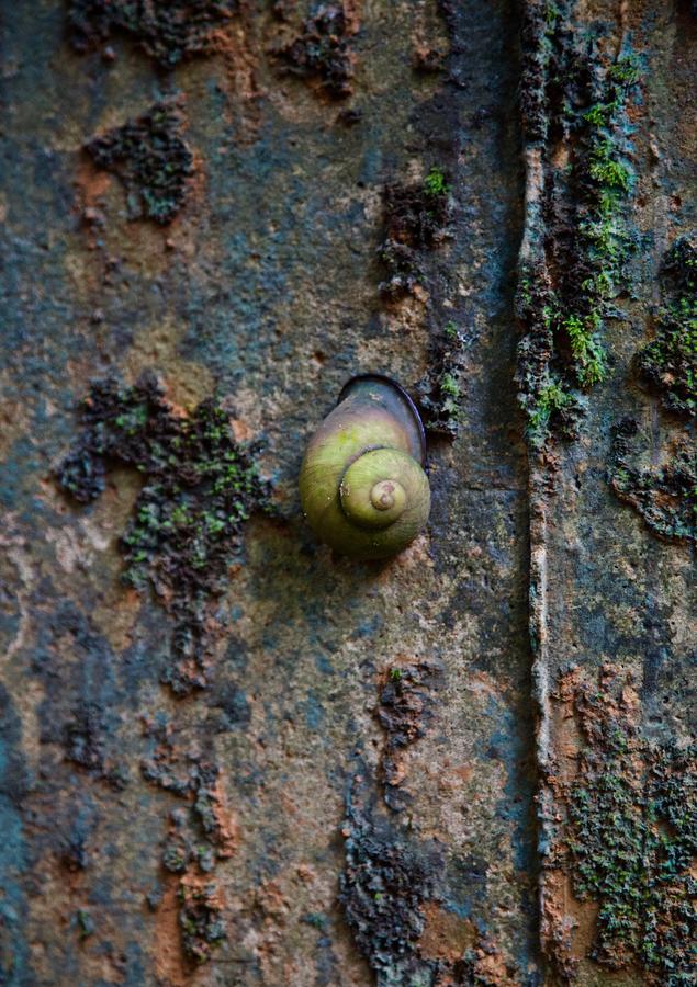 Bedda Eco Cottages デニヤヤ エクステリア 写真